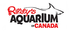 
 See Toronto caricature artist Pat ono2funny at Ripleys Aquarium Canada Toronto.