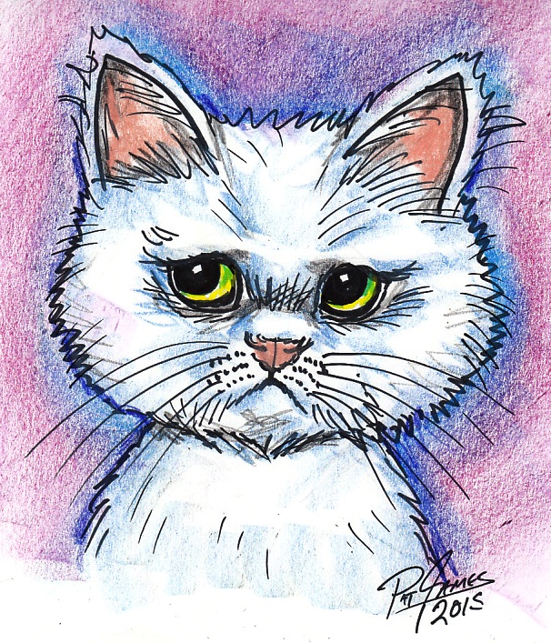 Toronto caricatures artist Pat Popular ono2funny  pets fun pictures